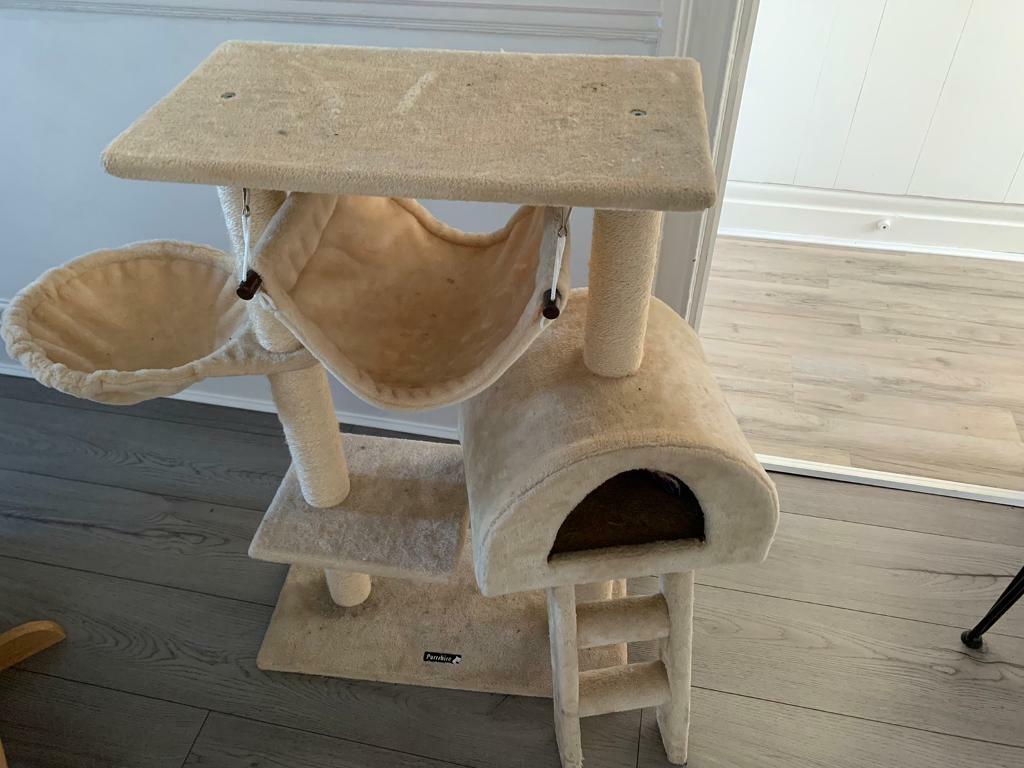 gumtree cat tree